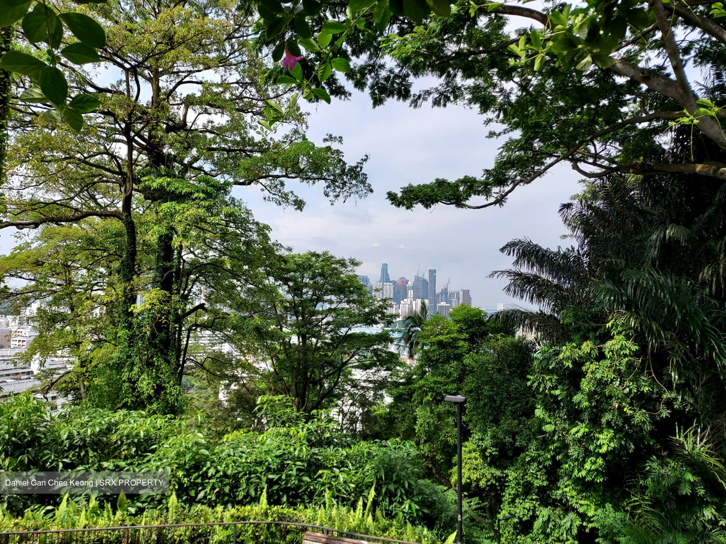 Mount Faber Lodge (D4), Condominium #460697341